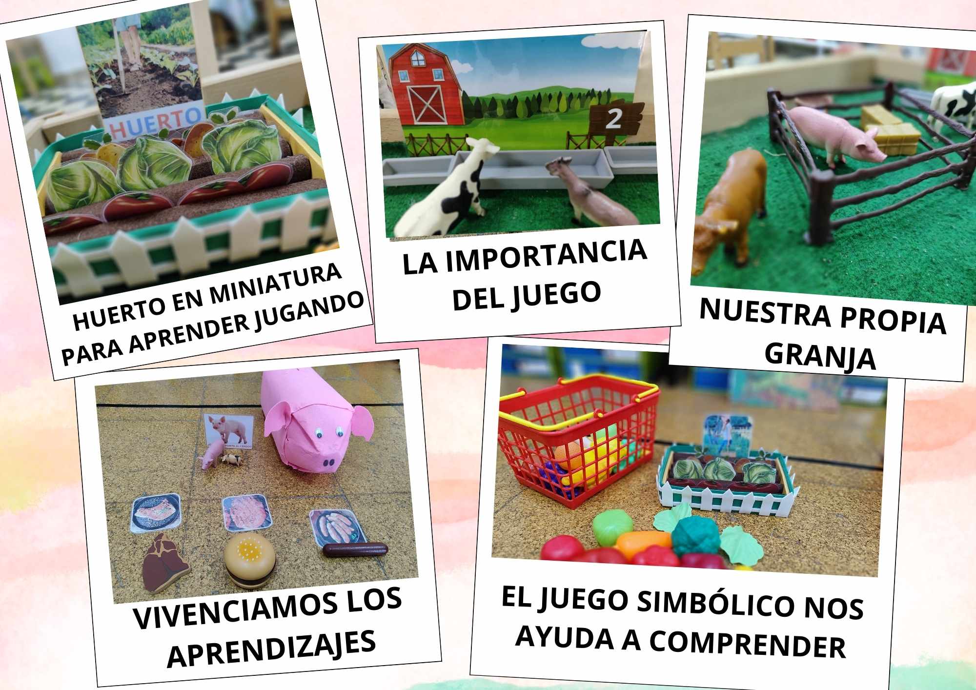 Chiquichef3